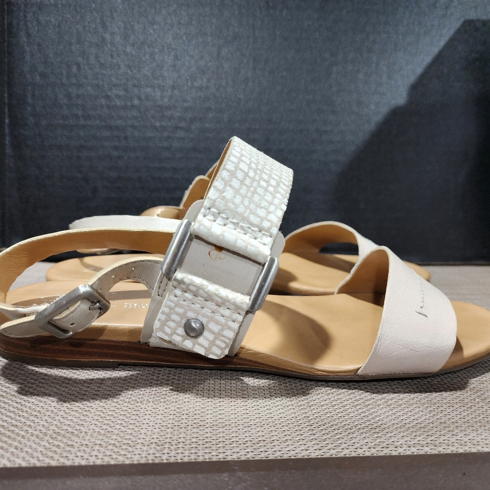 Franco Sarta Gustava Ivory